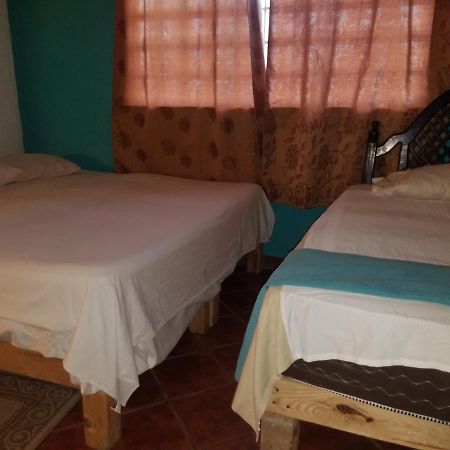 Hostal Enjoy Vallarta 19 Puerto Vallarta Exteriör bild