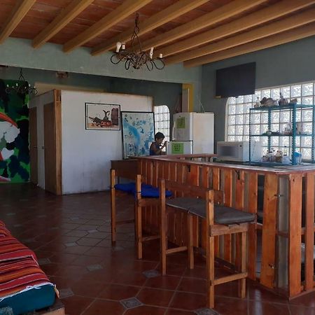 Hostal Enjoy Vallarta 19 Puerto Vallarta Exteriör bild
